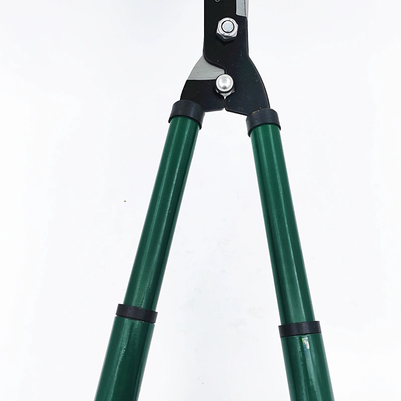 Telescopic Long-Reach Pruning Shears close framing